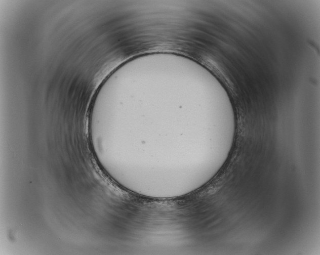 X0000101980900200808081612