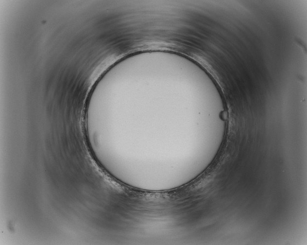 X0000101980901200808081612