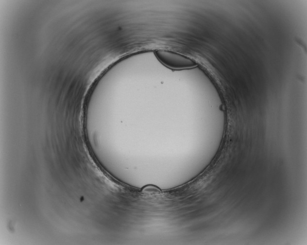 X0000101980902200808081612