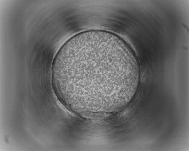 X0000101980903200808081612