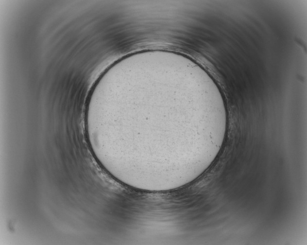 X0000101980904200808081612