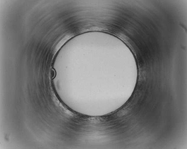 X0000101980906200808081612