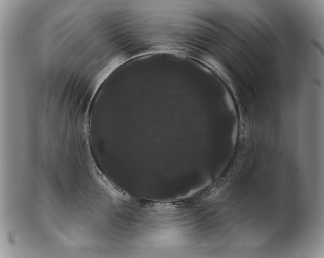 X0000101980907200808081612