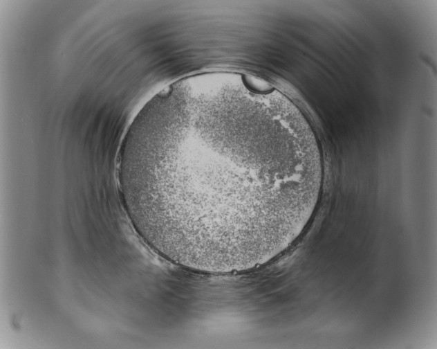 X0000101980908200808081612