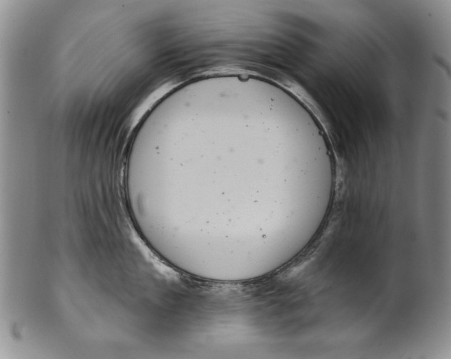 X0000101980909200808081612