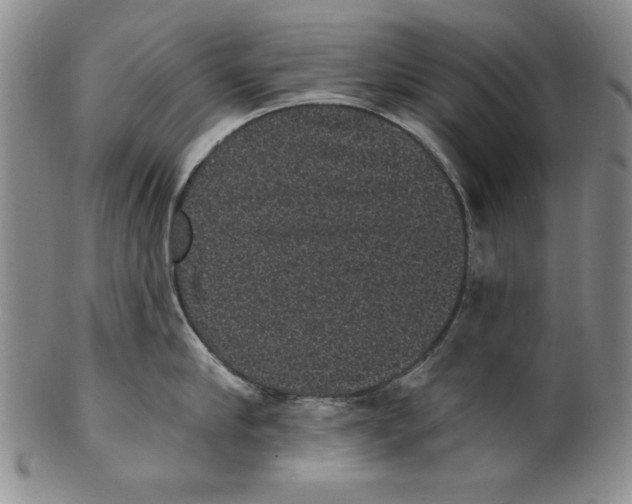 X0000101980910200808081612