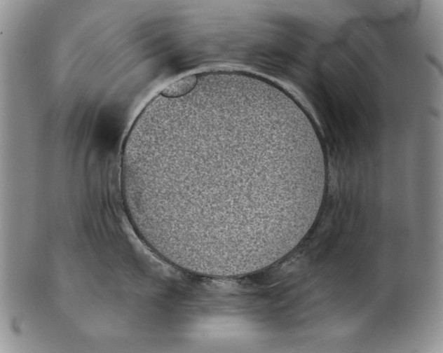 X0000101980911200808081612