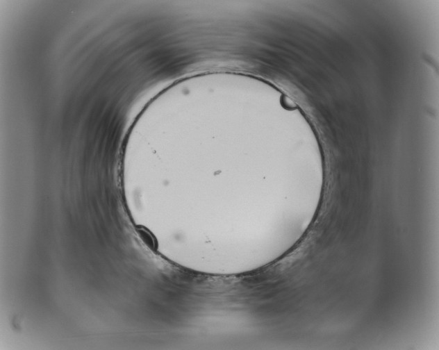 X0000101980912200808081612