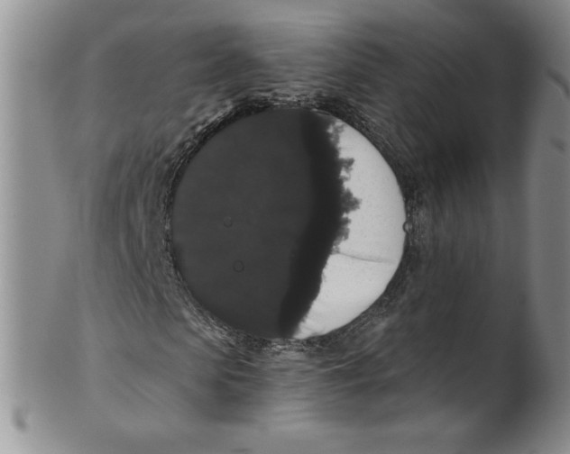 X0000101980913200808081611