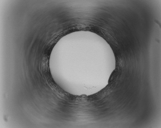 X0000101980914200808081611