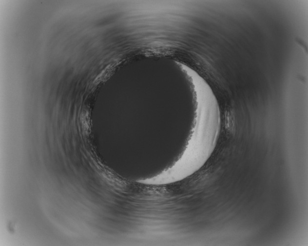 X0000101980915200808081611