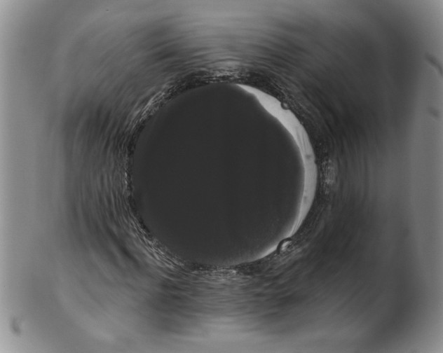 X0000101980916200808081611