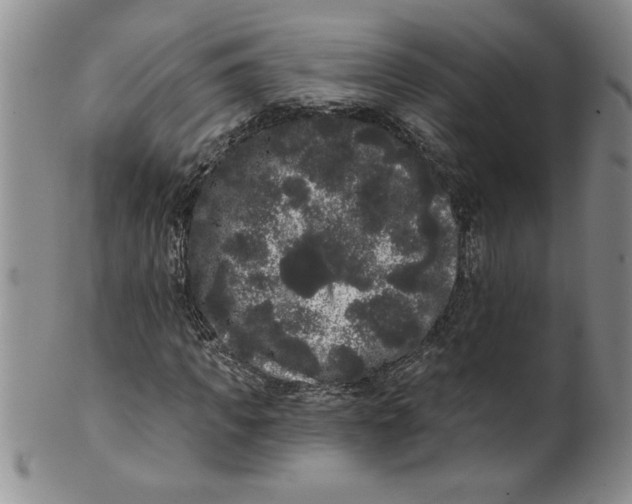 X0000101980917200808081611