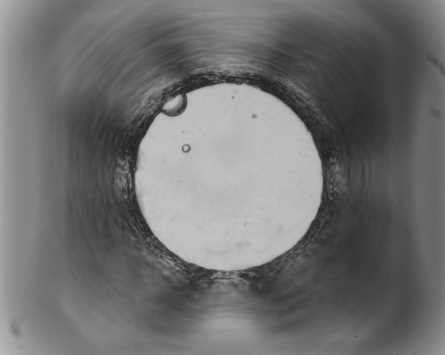 X0000101980918200808081612