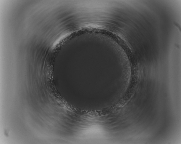 X0000101980919200808081612