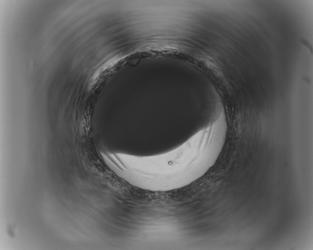 X0000101980920200808081612