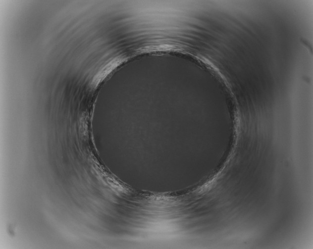 X0000101980921200808081612