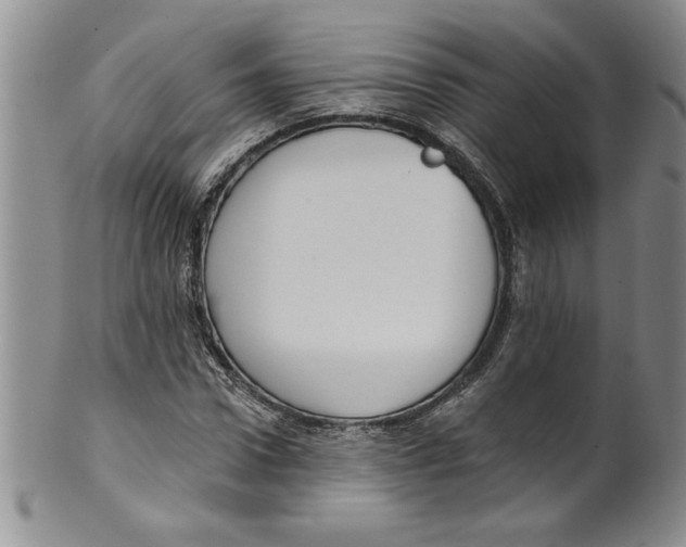 X0000101980922200808081612