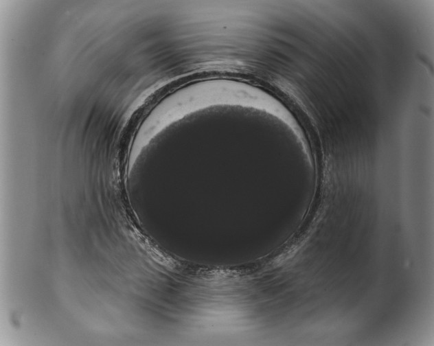 X0000101980923200808081612