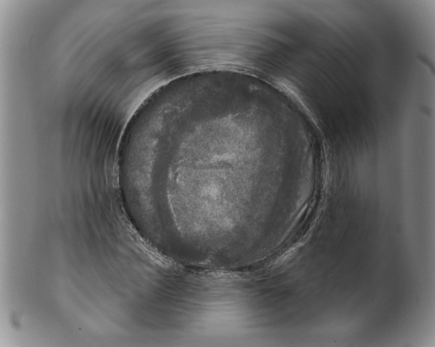 X0000101980924200808081612