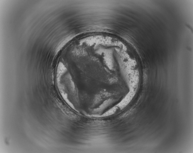 X0000101980925200808081612