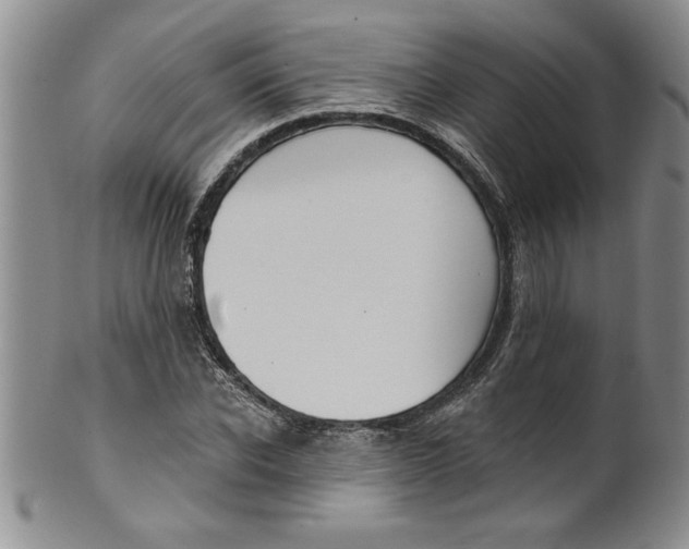 X0000101980926200808081612