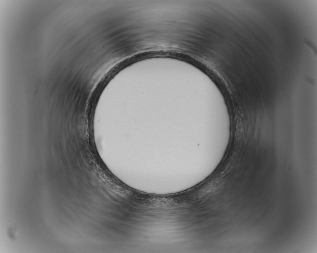 X0000101980927200808081612