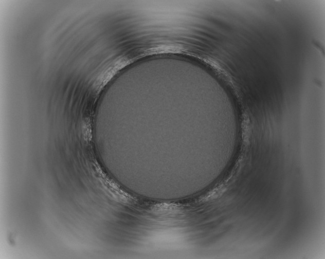 X0000101980929200808081612