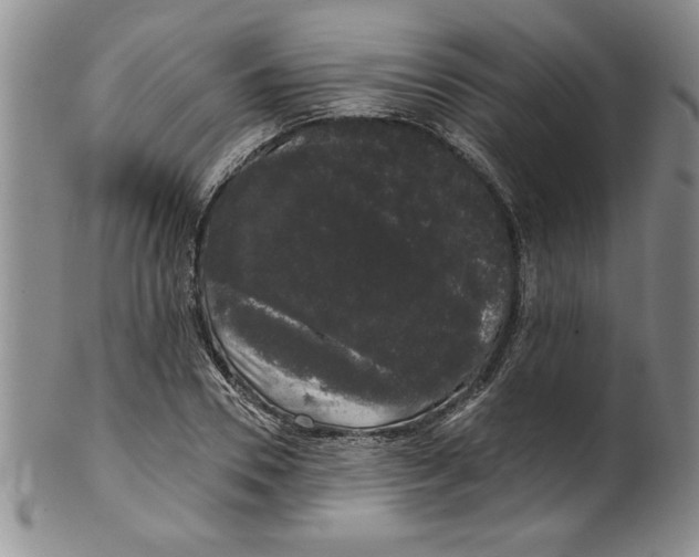 X0000101980930200808081612