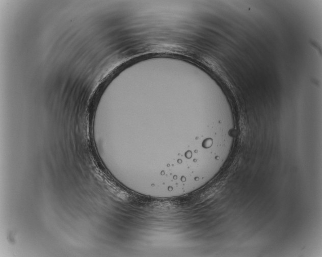 X0000101980931200808081612