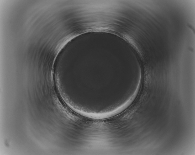 X0000101980932200808081612