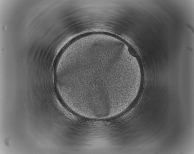 X0000101980934200808081612