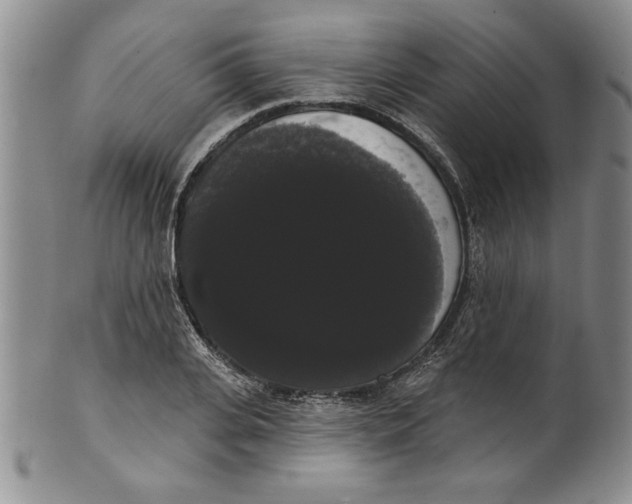 X0000101980935200808081612