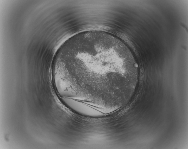 X0000101980936200808081612