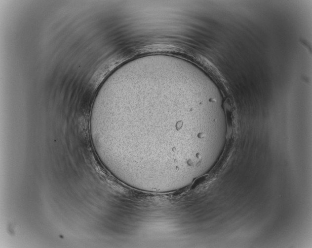 X0000101980937200808081612