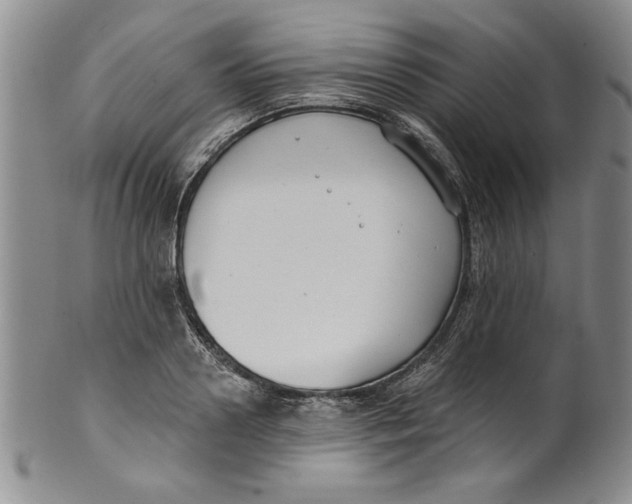 X0000101980938200808081612