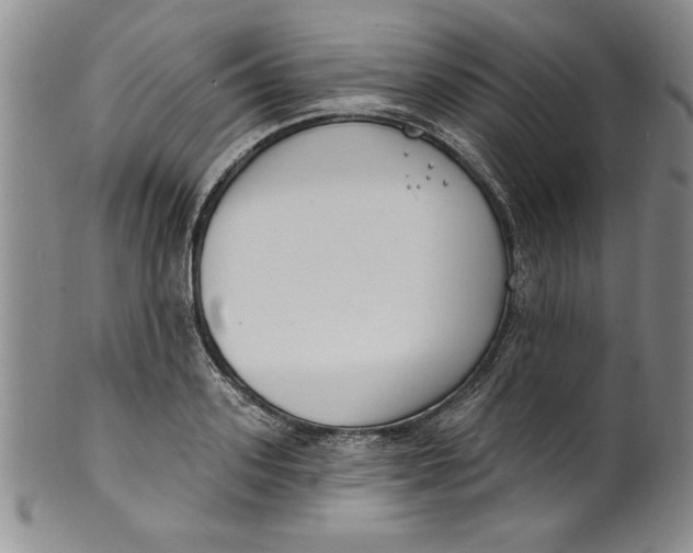 X0000101980939200808081612