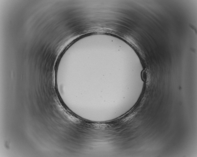 X0000101980940200808081612