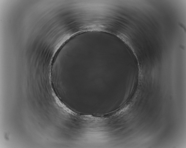 X0000101980941200808081612