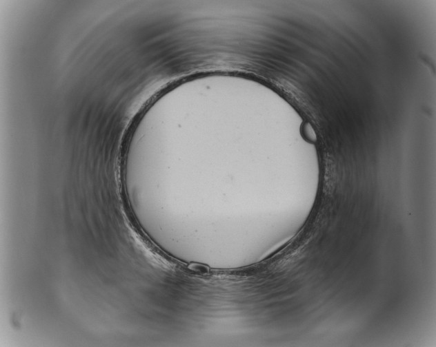 X0000101980942200808081612