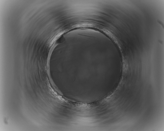 X0000101980945200808081612