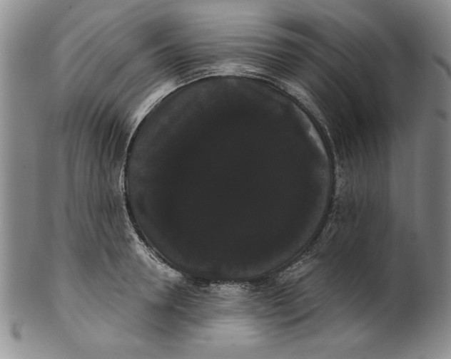 X0000101980946200808081612