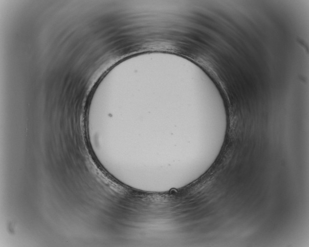 X0000101980947200808081612