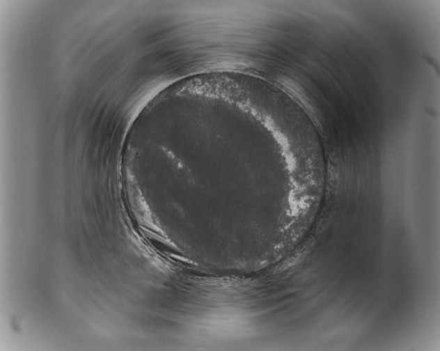 X0000101980948200808081612