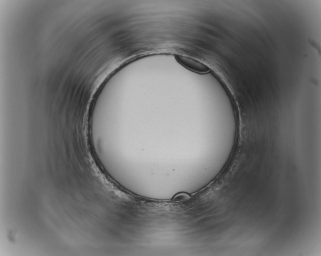 X0000101980949200808081612