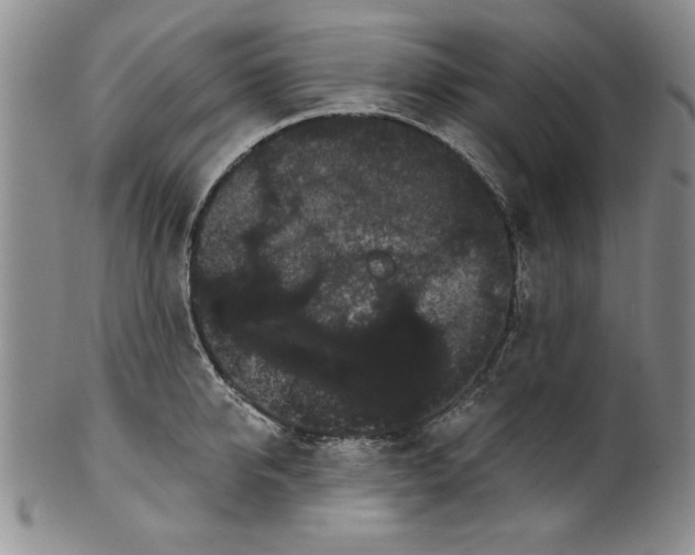 X0000101980950200808081612