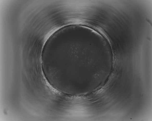 X0000101980951200808081612