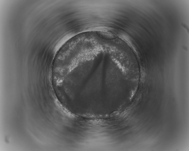 X0000101980952200808081612