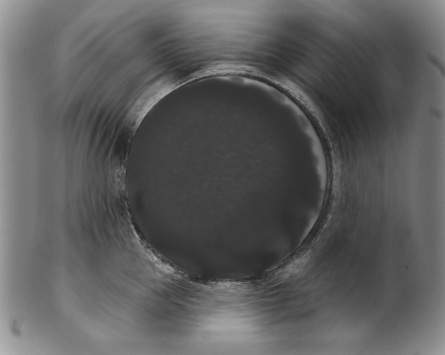 X0000101980953200808081612