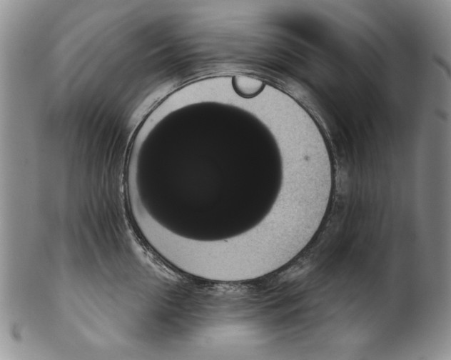 X0000101980954200808081612